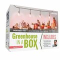 Miracle Led 4-Socket Designer Greenhouse in a Box Grow Light Kit, Red Spec., 14W Replace 150W Grow Bulbs, 2PK 801796